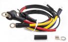 Generator to Regulator Harness - 1958-59 Conv 